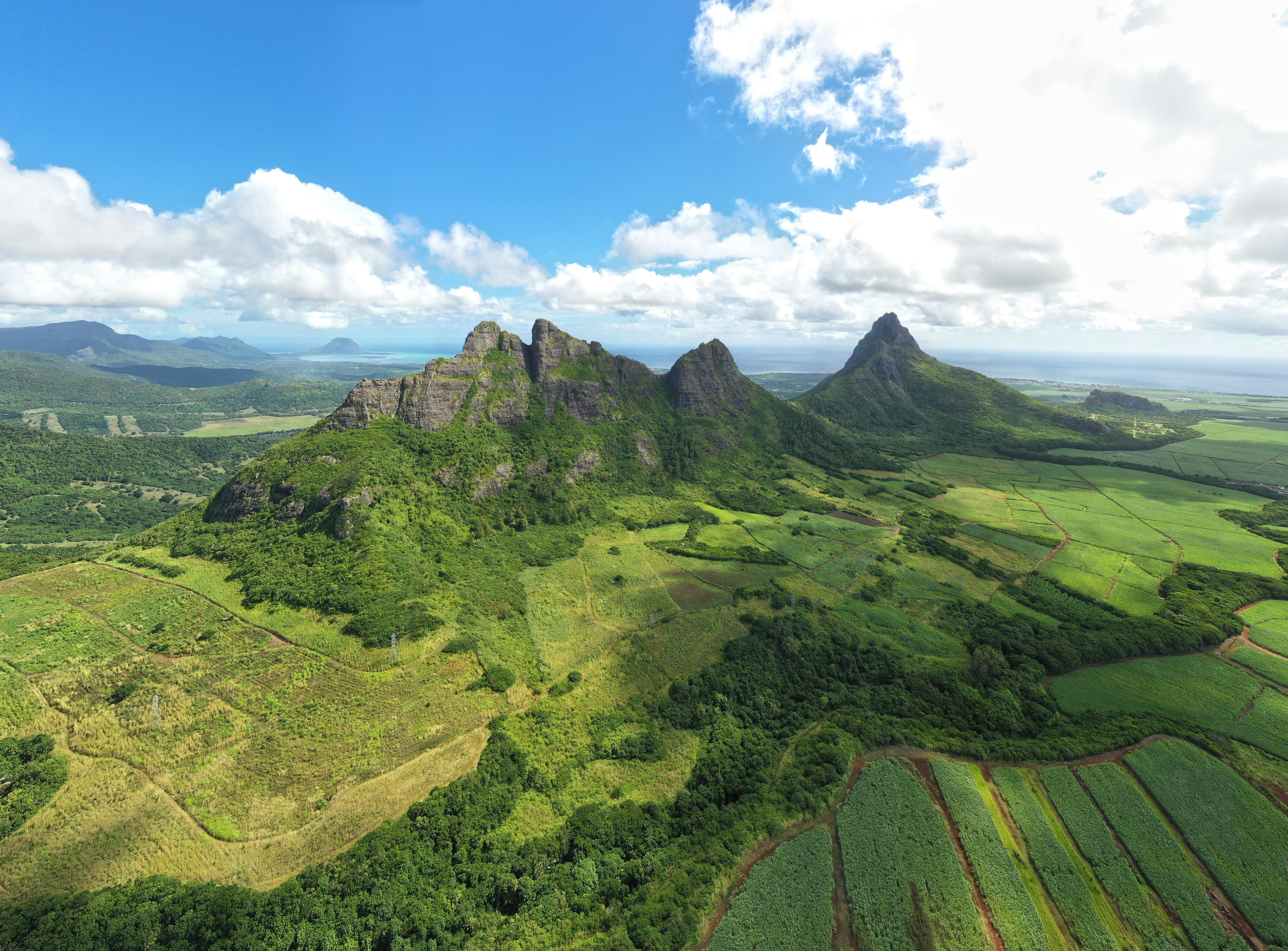 Grüne Berglandschaft mit tropischer Vegetation, Mauritius