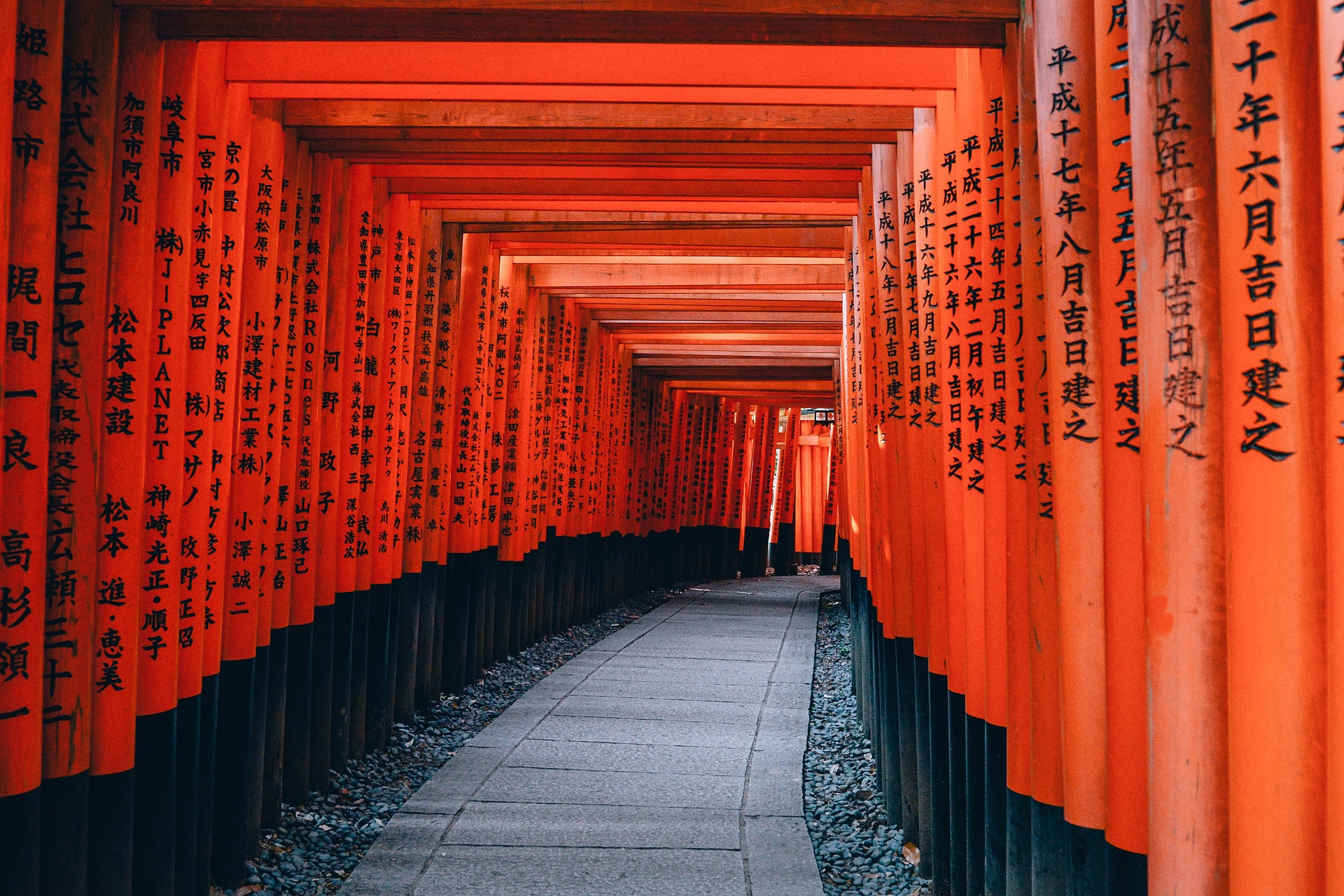 Kyōto – Roter Torii-Pfad mit schattigem Gang im Fushimi-Inari-Schrein, Japan