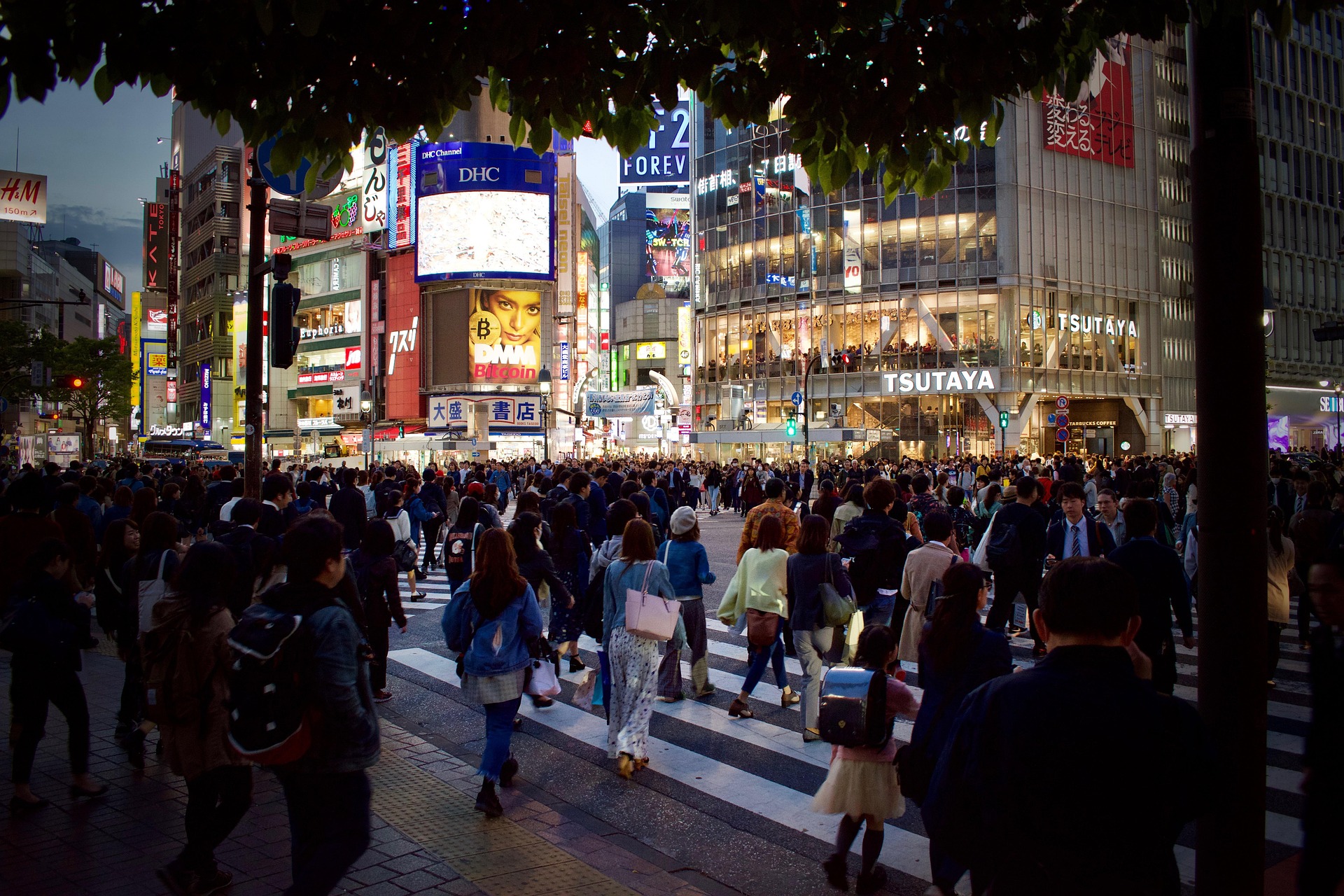 Shibuya Tokio – Berühmte Fußgängerkreuzung bei Nacht, Japan