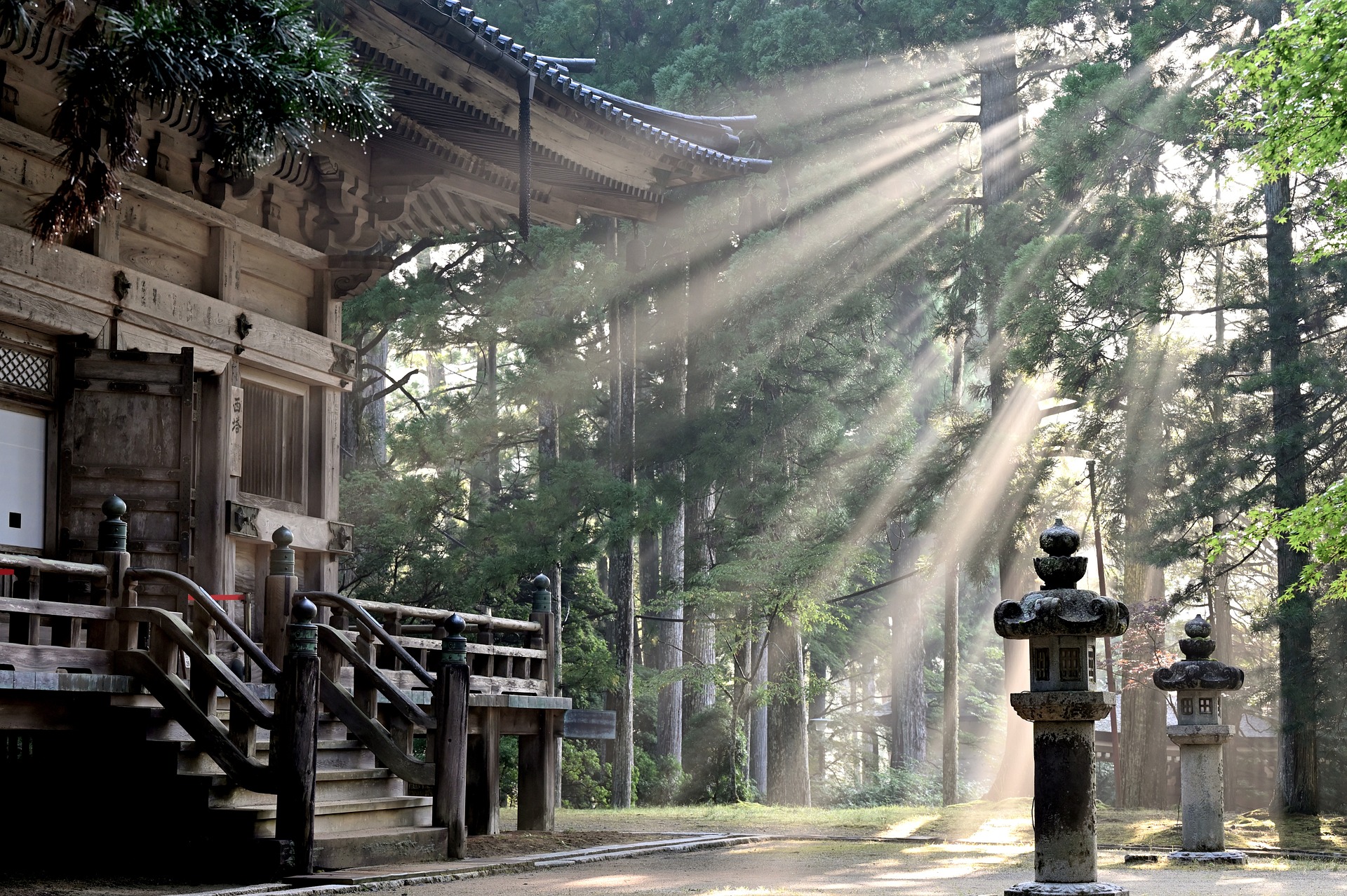 Koyasan Japan – Sonnenstrahlen durchbrechen Nebel im uralten Zedernwald, Japan