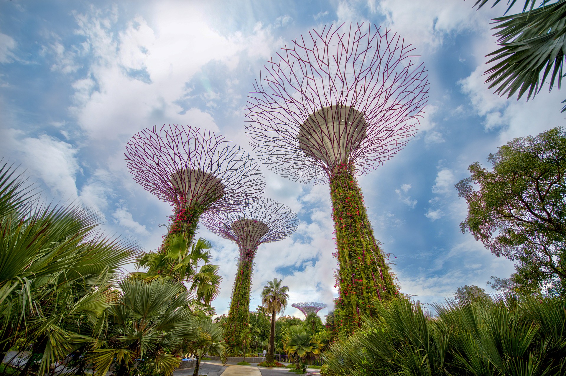 Supertree Grove Singapur – Künstliche Bäume mit Blätterdach im Gardens by the Bay