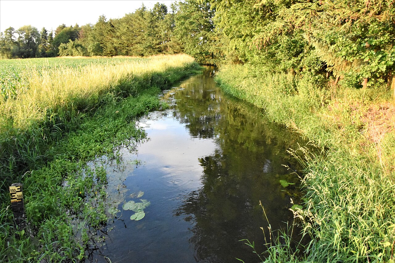 Fluss Hase in Rieste (Landkreis Osnabrück, Niedersachsen).