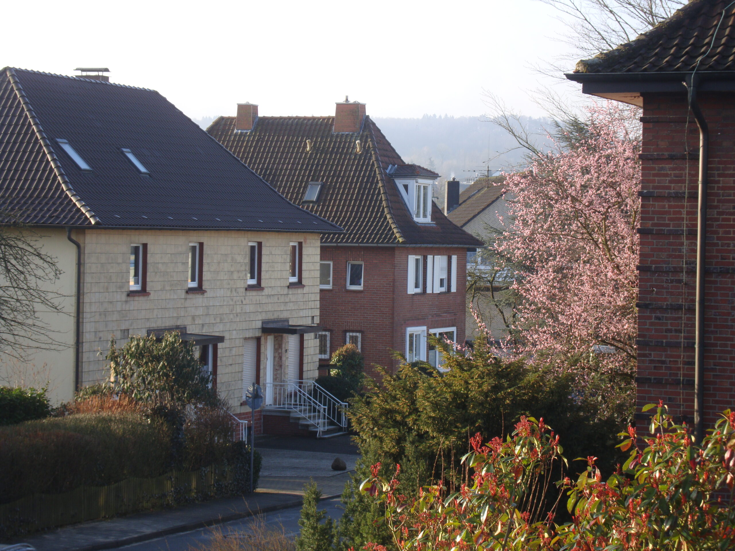 Wohnhäuser mit Gärten und Frühlingsblüte in Hasbergen.