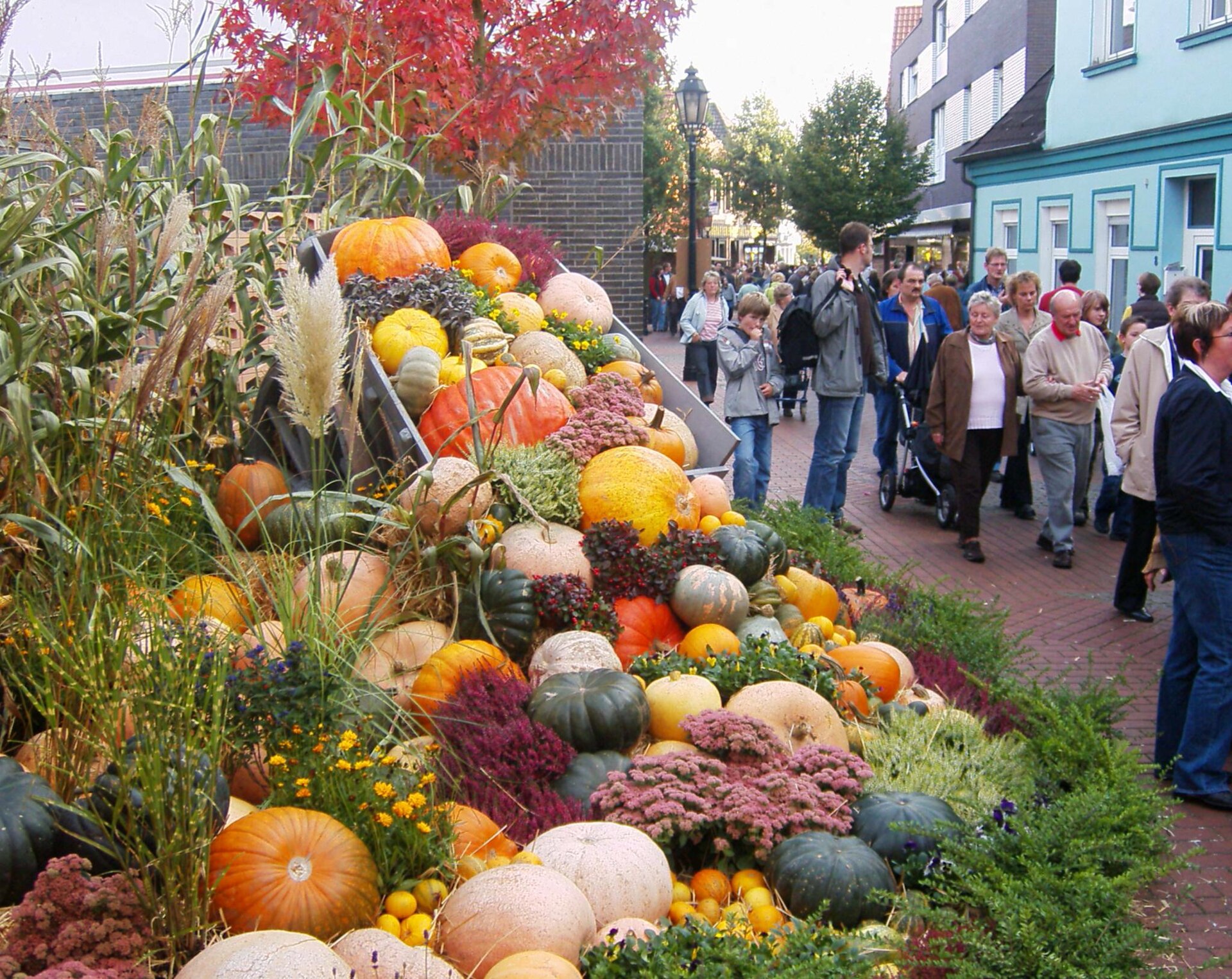 Kürbisfestival in Neuenkirchen.