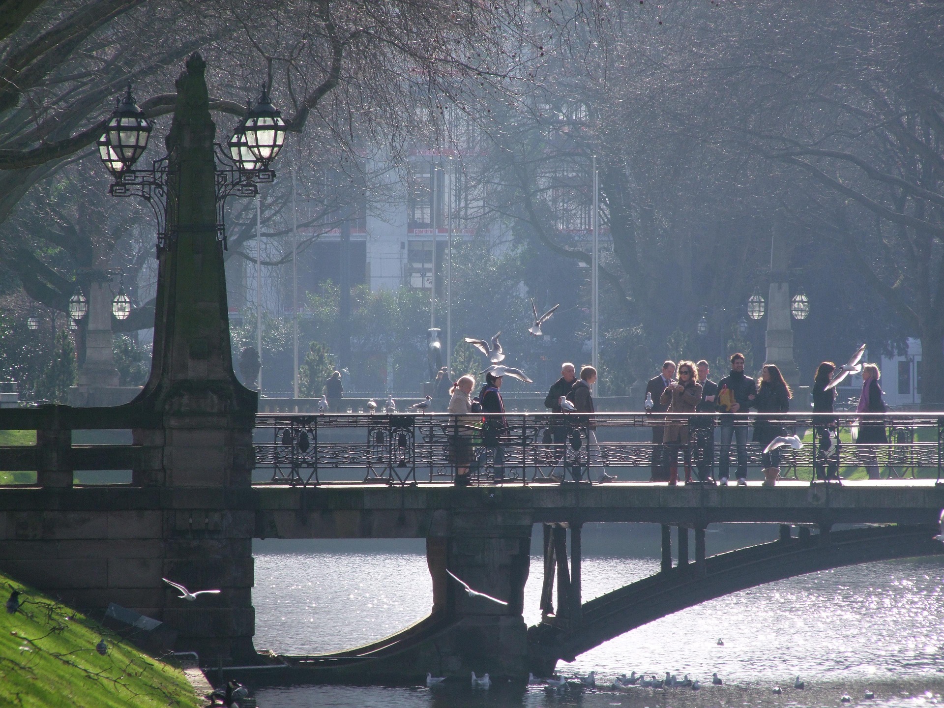 Park in Düsseldorf – Grünanlage mit alten Bäumen und Wegen, Nordrhein-Westfalen
