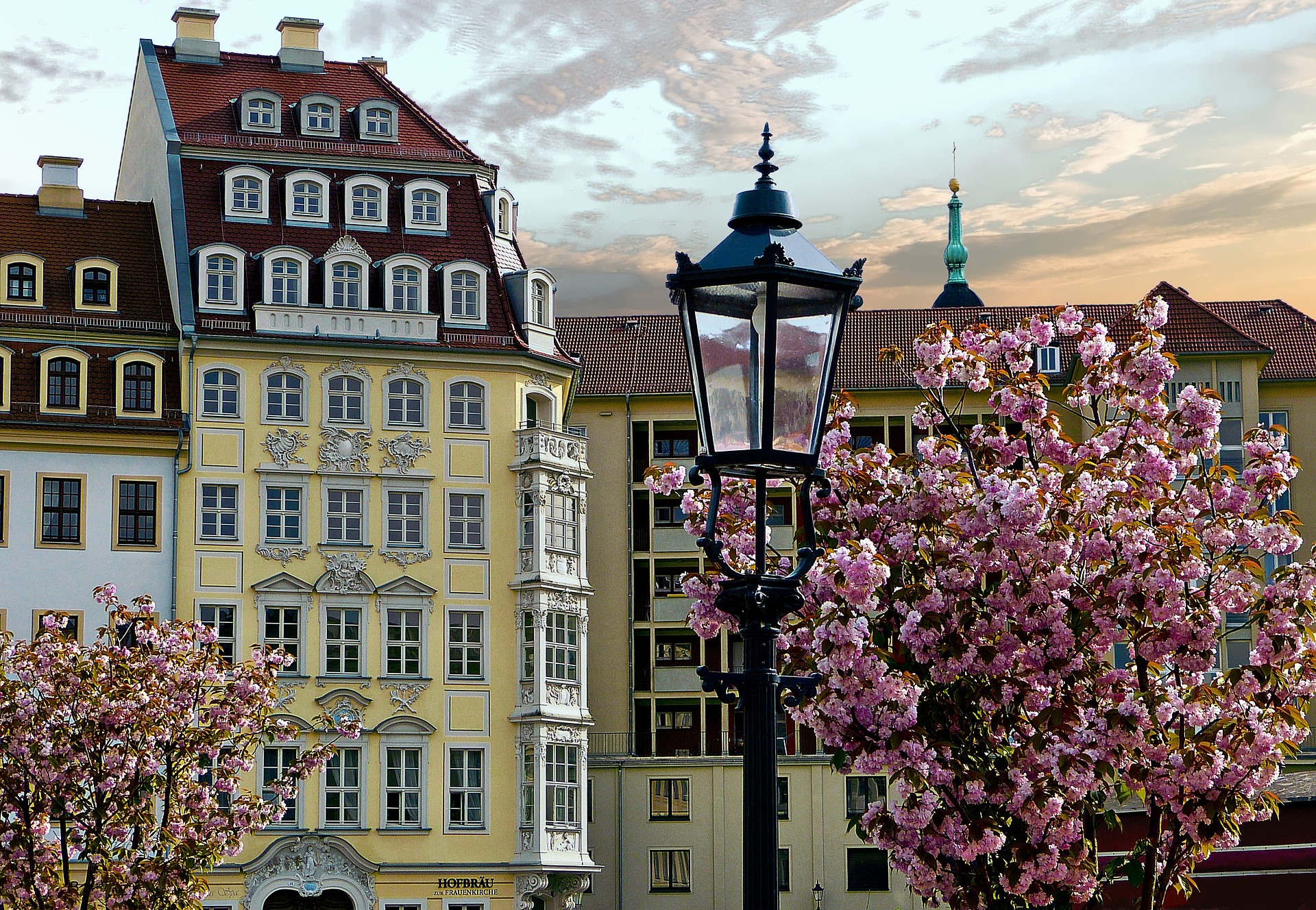 Dresden – Frühlingsstimmung mit blühenden Bäumen und Barockarchitektur, Sachsen
