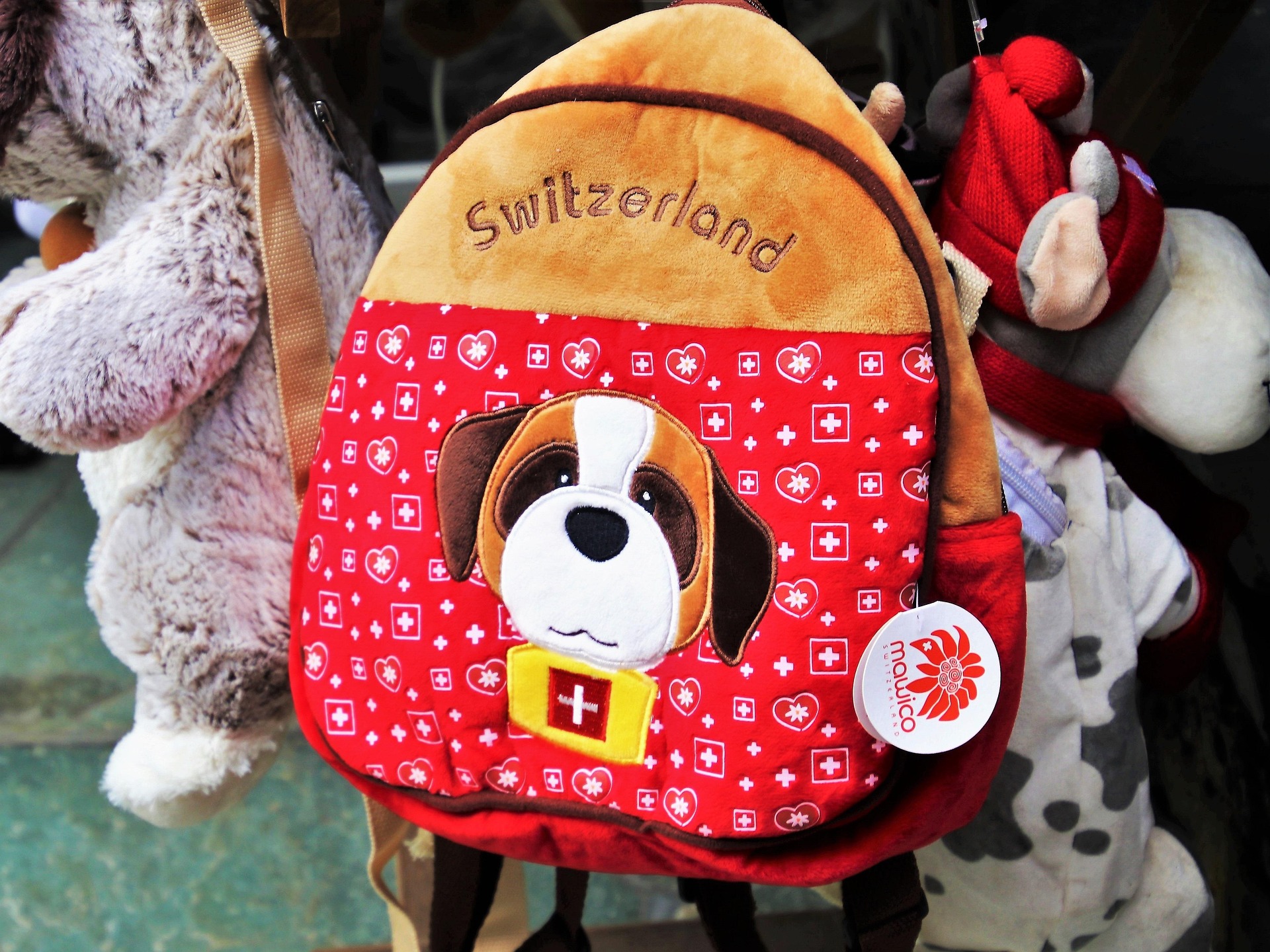 Schultasche mit Bernhardiner-Motiv – Leichter Rucksack mit Hundegesicht für den Schulalltag, Schweiz
