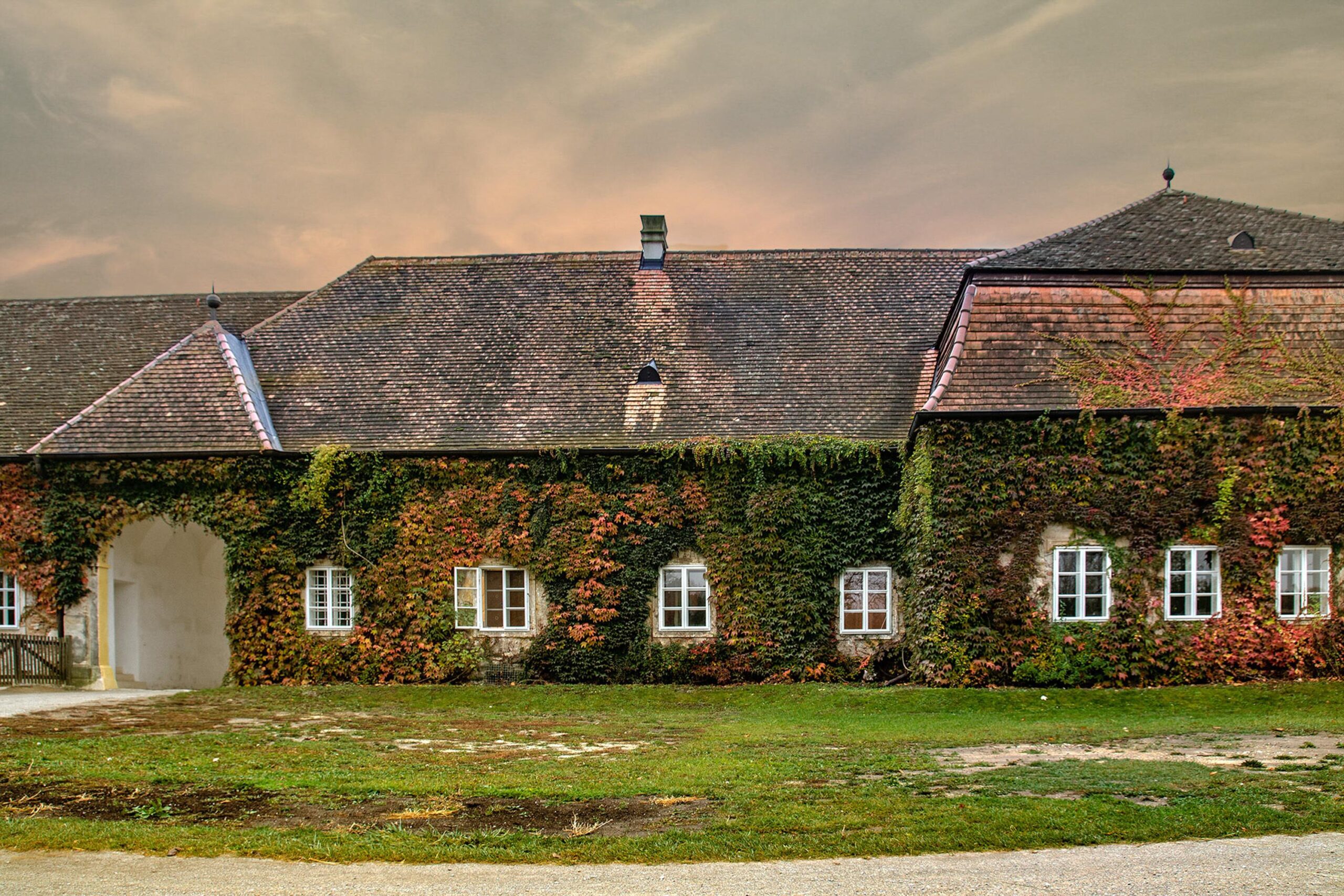 Efeubewachsenes Gebäude in Österreich – Historische Fassade mit dichtem Efeu, Österreich