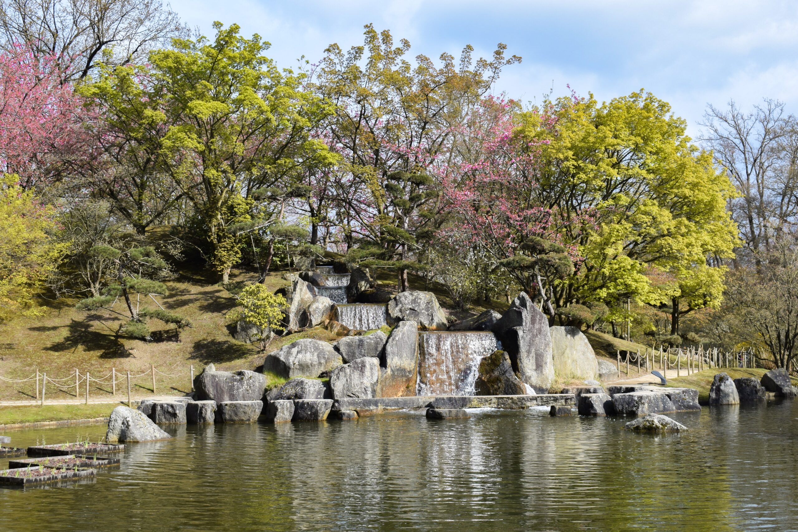 Hasselt, Japanischer Garten – Steinwasserfall mit Moos und Pflanzen, Belgien