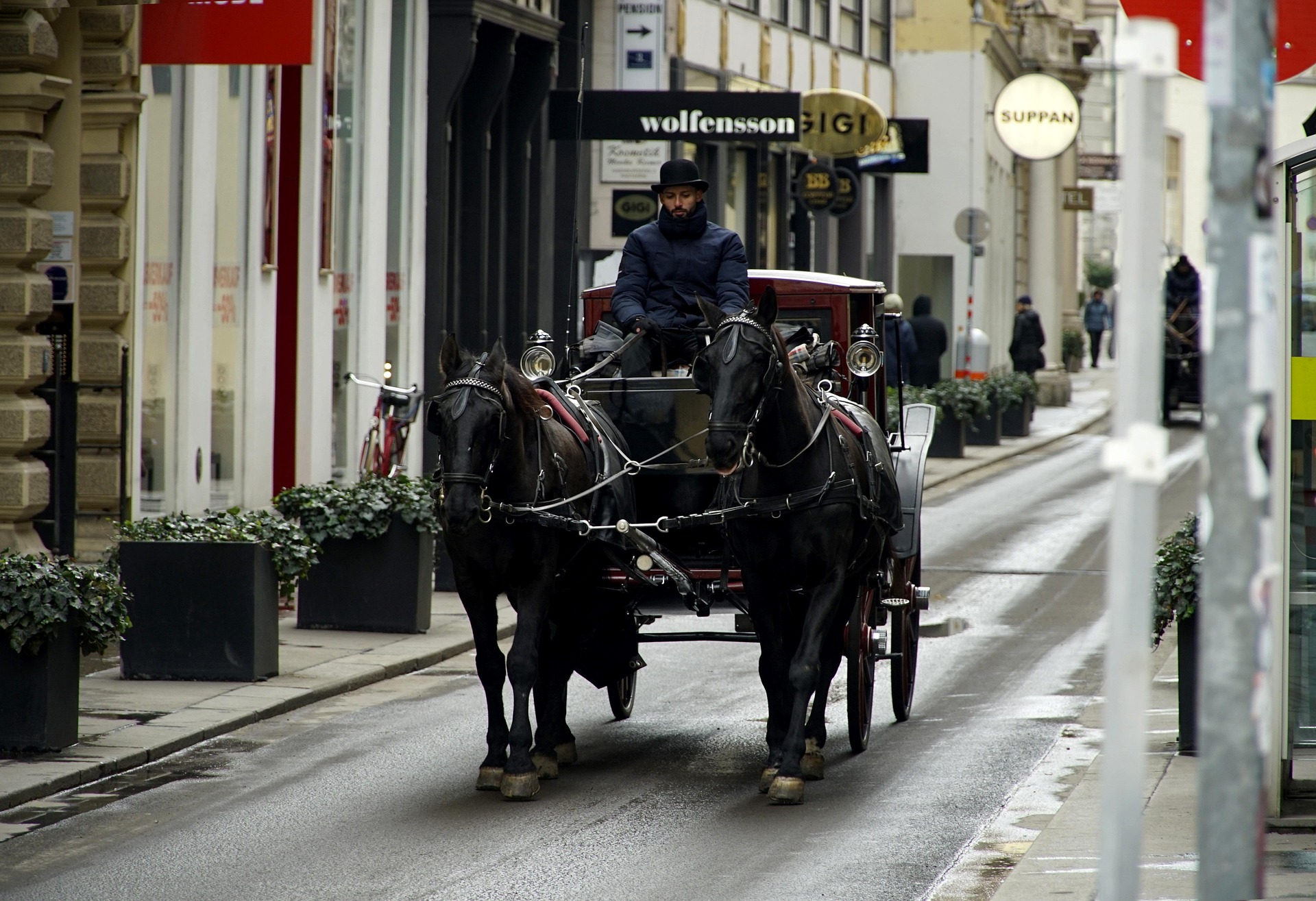 Wien – Kutsche fahren durch die Altstadt als touristisches Erlebnis, Österreich