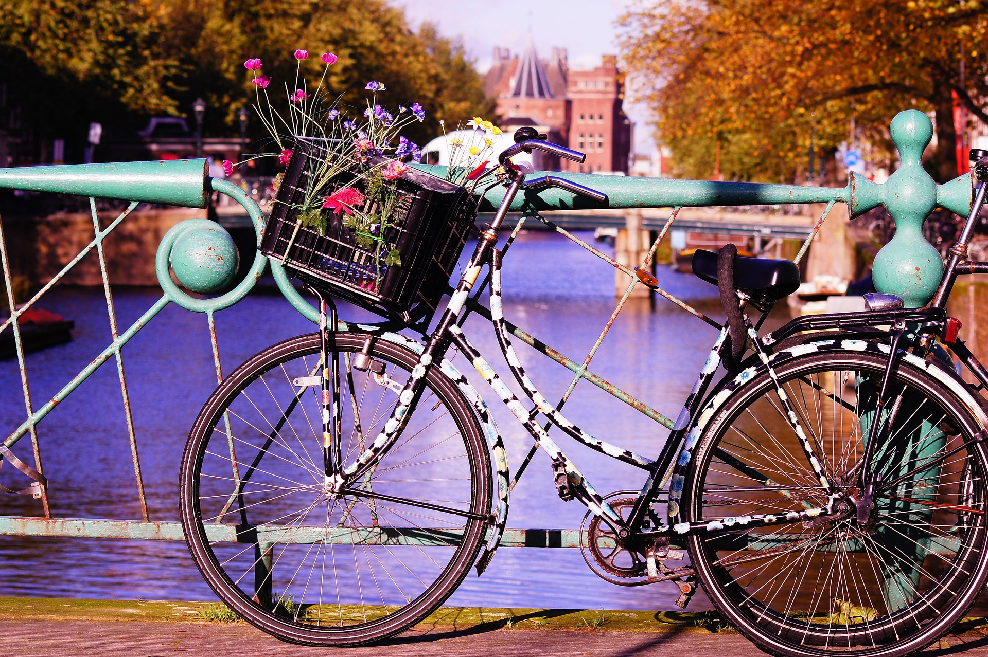 Niederlande – Fahrrad als Alltagsverkehrsmittel mit Blumenkorb, Niederlande
