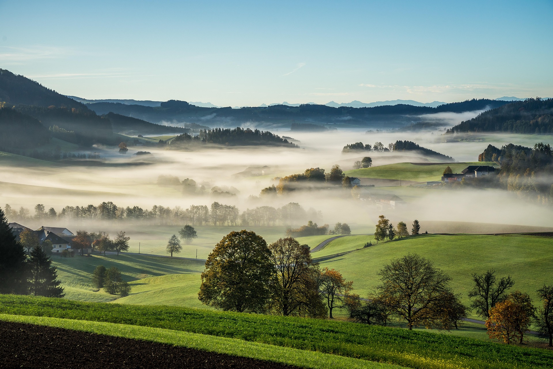 Nebel über Hügeln bei Sonnenaufgang – Sanfte Hügellandschaft mit Dunst und Morgenrot, Österreich