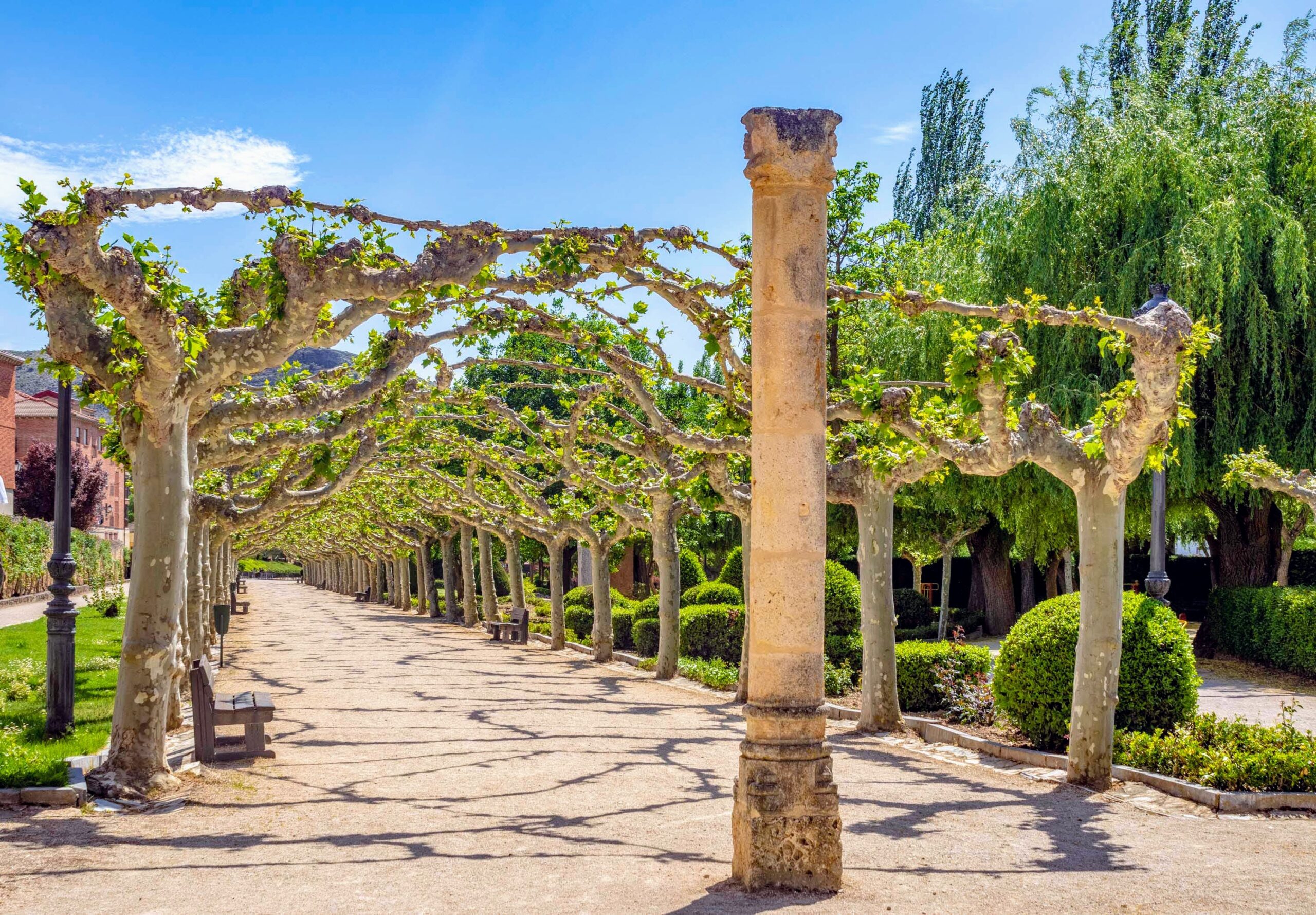 Garten in Soria – Grüne Oase mit Blumenbeeten, Spanien