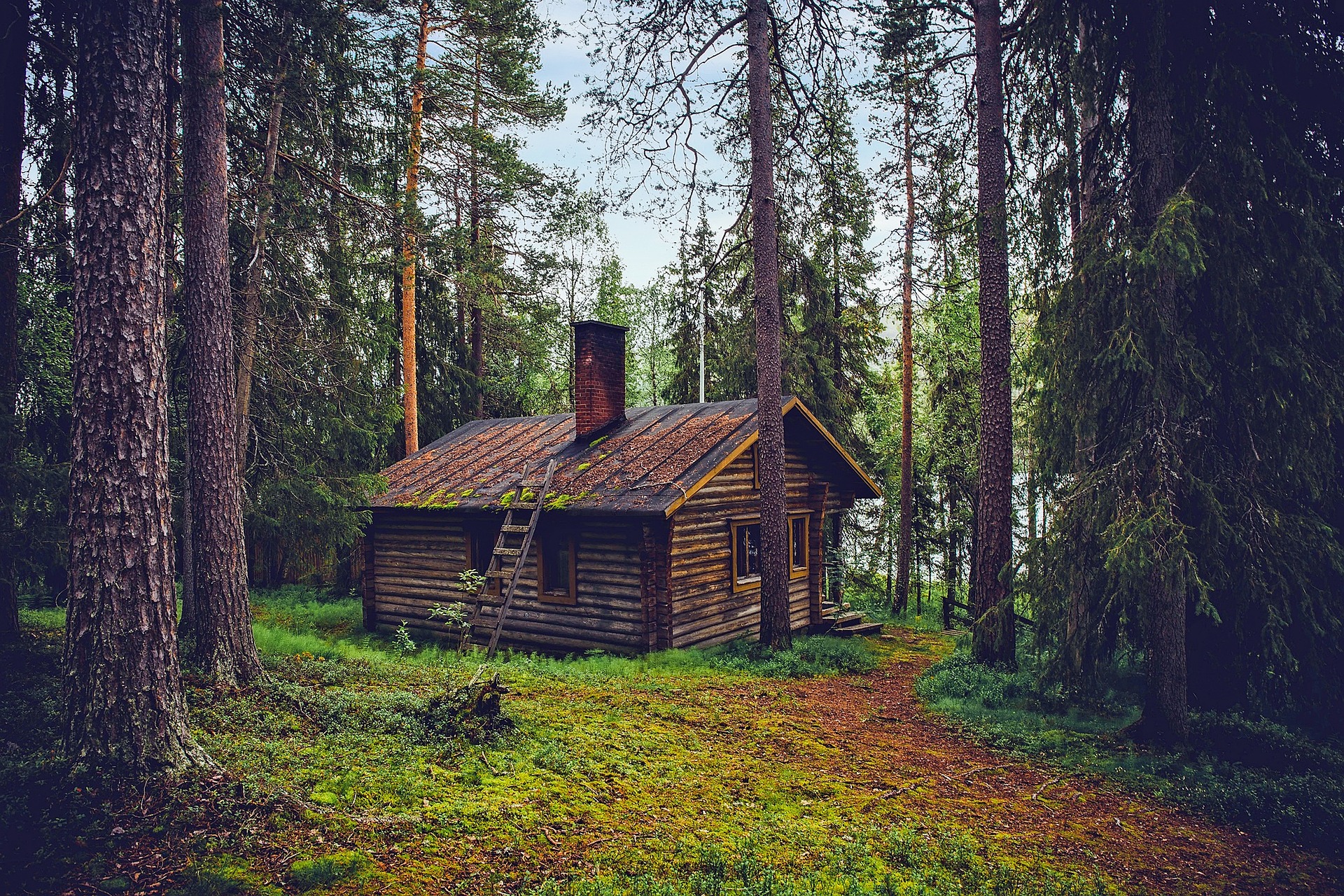 Finnland – Traditionelles Holzhaus umgeben von Bäumen